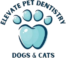 Elevate Pet Dentistry